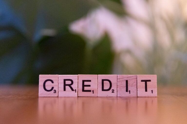 Close-up of wooden blocks spelling 'credit' with a blurred leafy background.